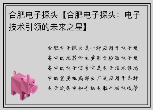合肥电子探头【合肥电子探头：电子技术引领的未来之星】